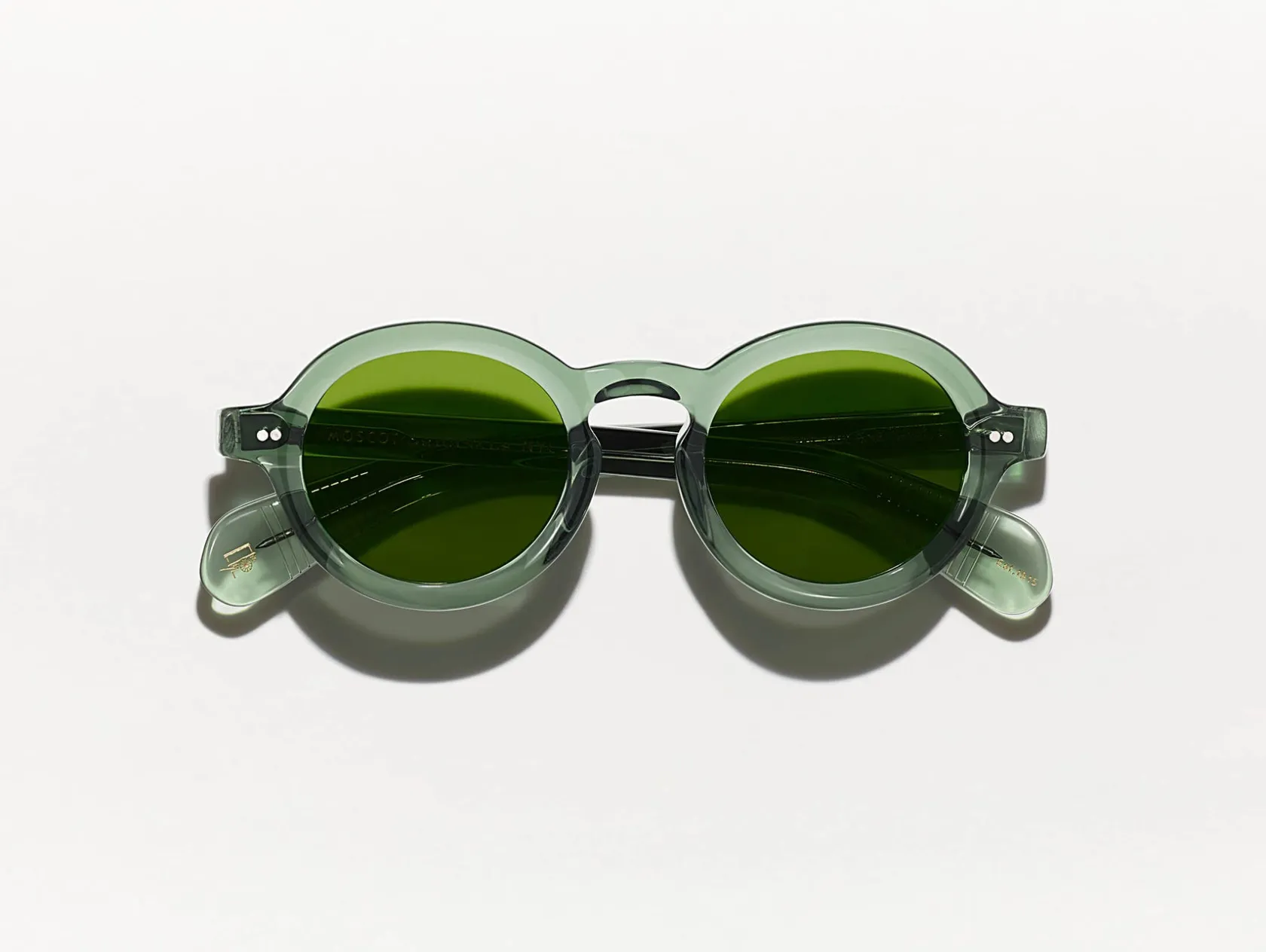 Moscot FOYGEL SUN