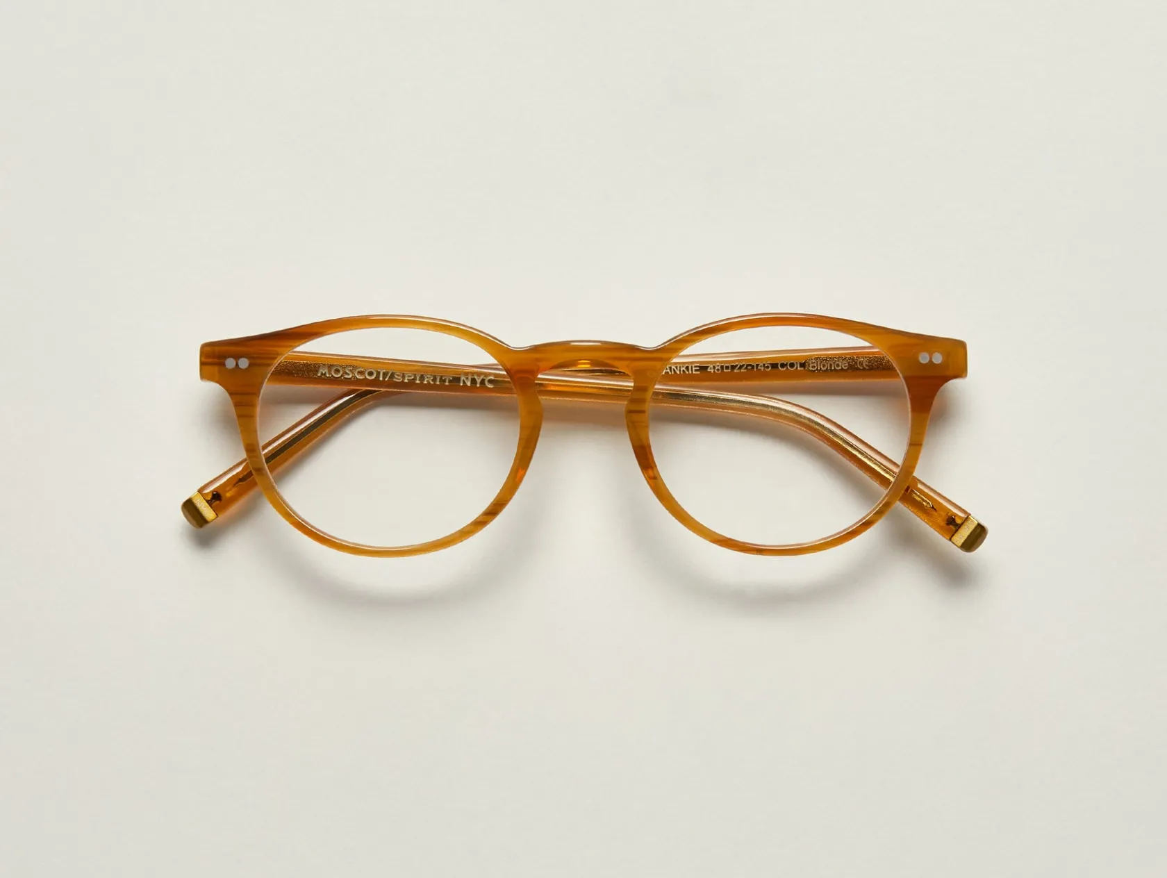 Moscot FRANKIE