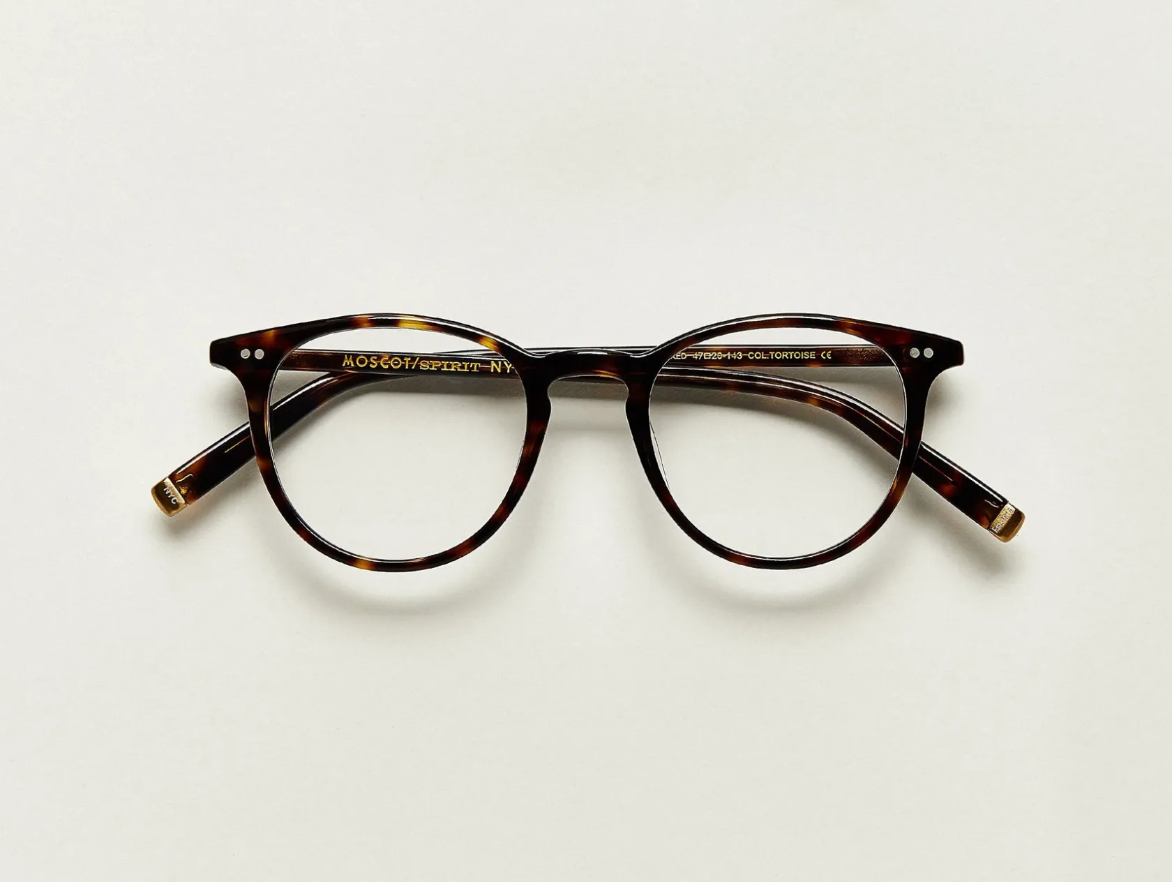 Moscot JARED
